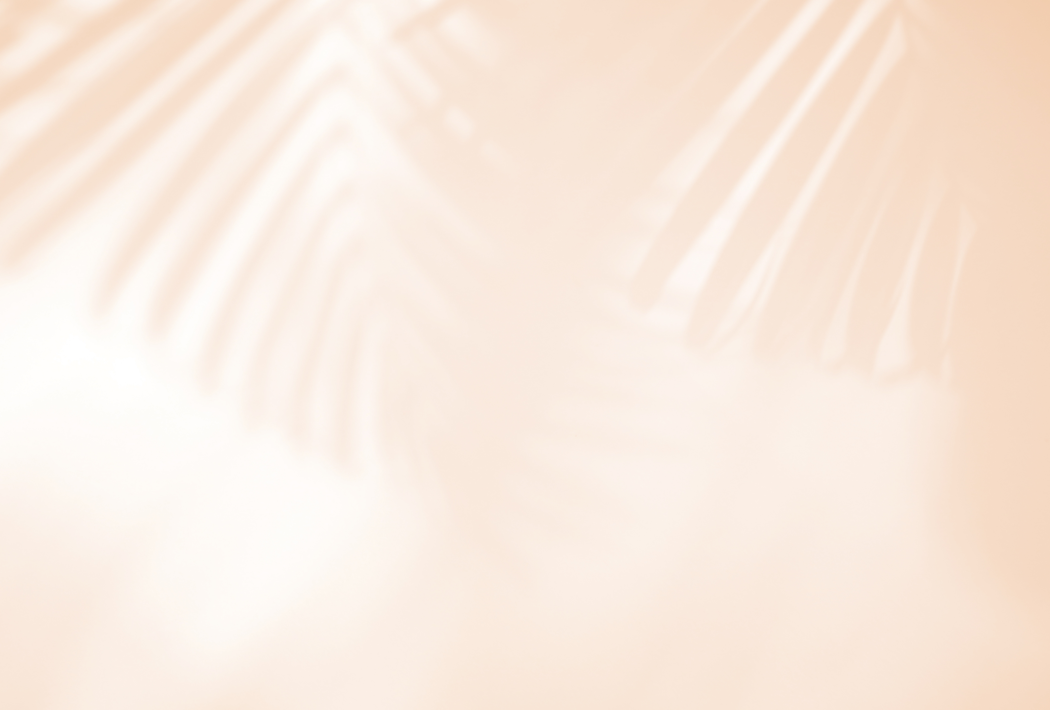 Shadow of Tropical Leaves 