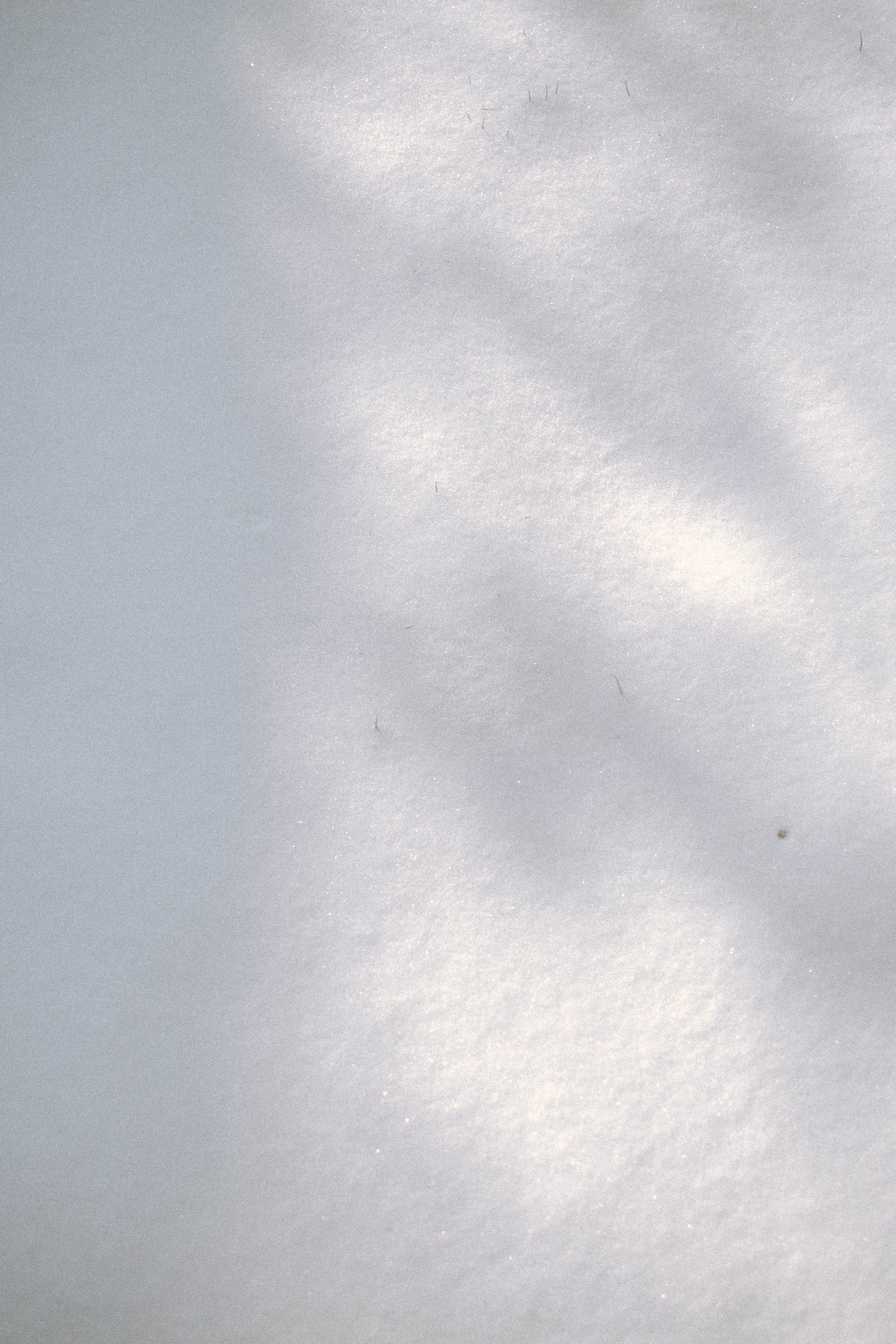 Snowy Ground with Shadow Background